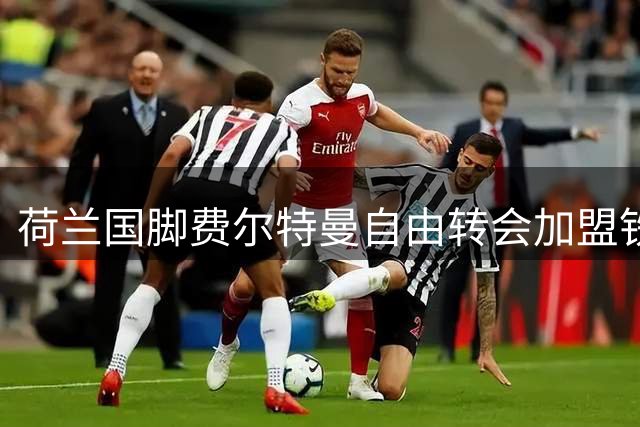 荷兰国脚费尔特曼自由转会加盟铁锤帮 丰富经验成后防新支柱